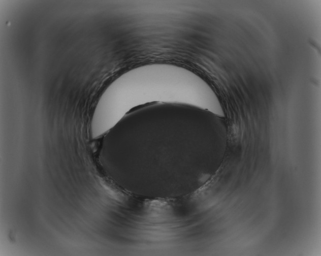 X0000091460180200709131740