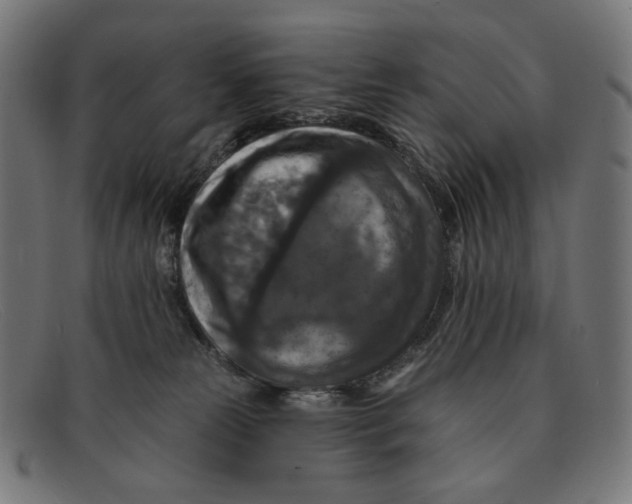 X0000091460181200709131740