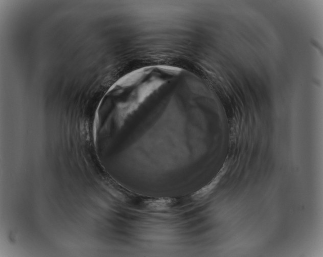X0000091460182200709131740