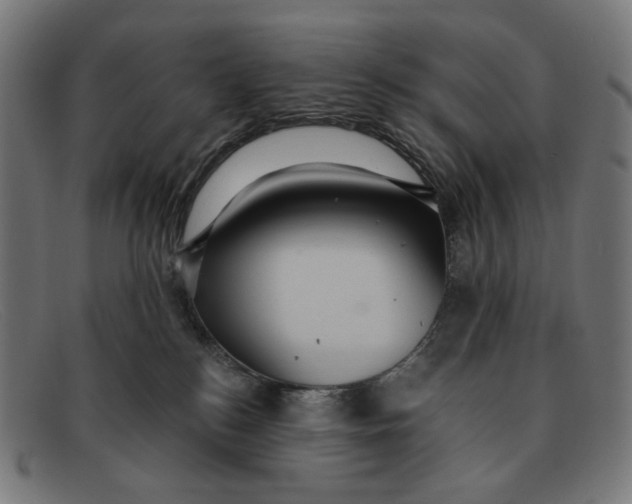 X0000091460184200709131740