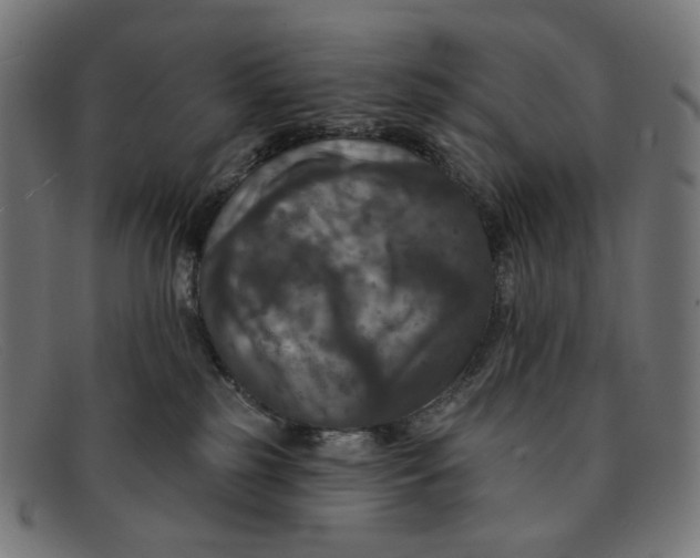 X0000091460185200709131740