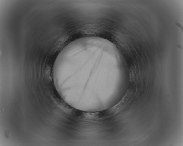 X0000091460187200709131740