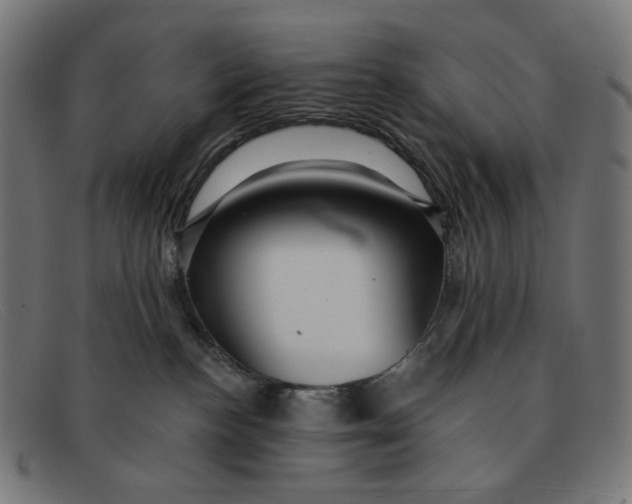 X0000091460188200709131740