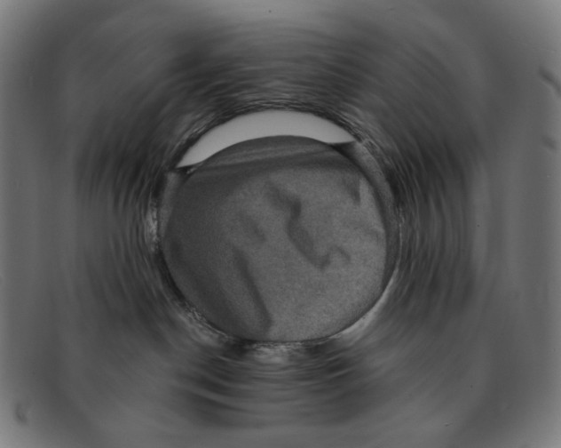 X0000091460190200709131741
