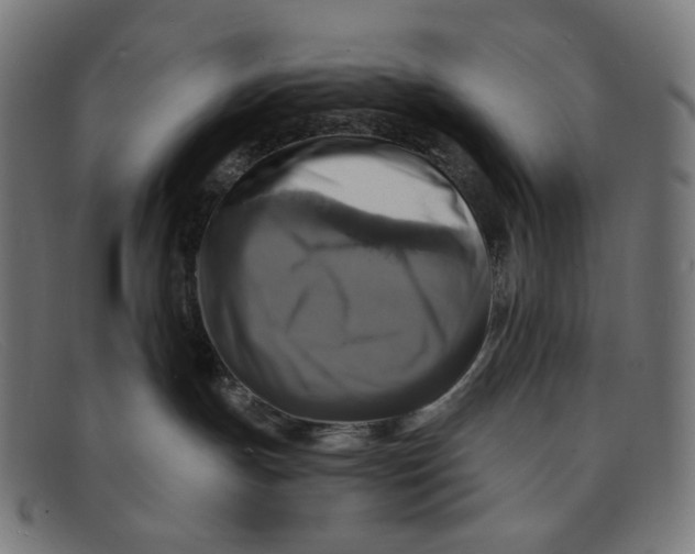 X0000091460191200709131741
