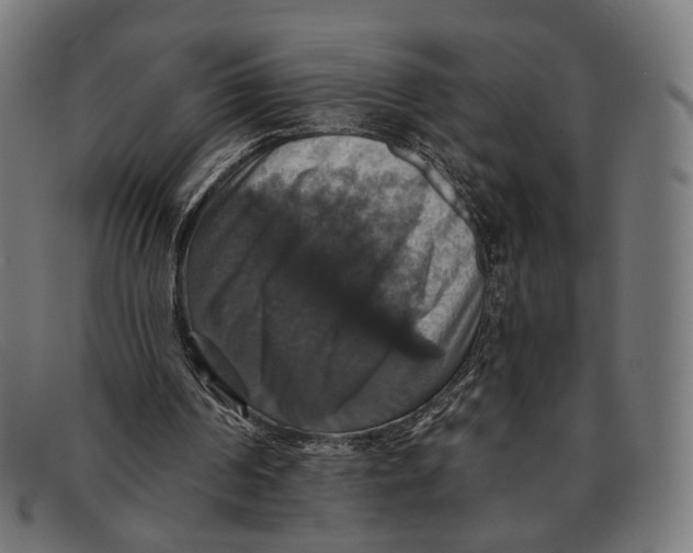 X0000091460194200709131740