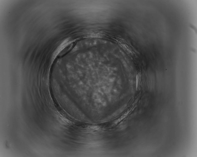 X0000091460195200709131740