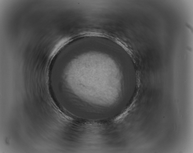 X0000091460199200709131740