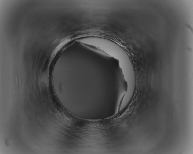 X0000091460200200709131740