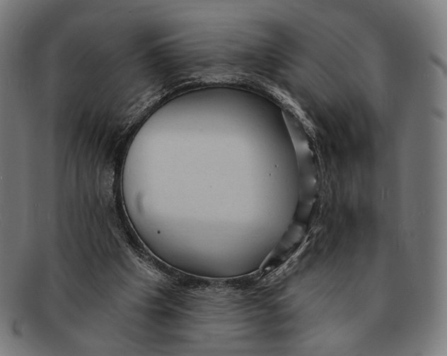 X0000091460201200709131740