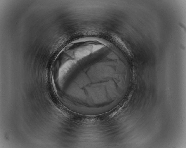 X0000091460202200709131740