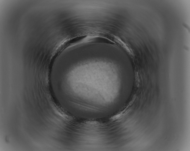 X0000091460203200709131740