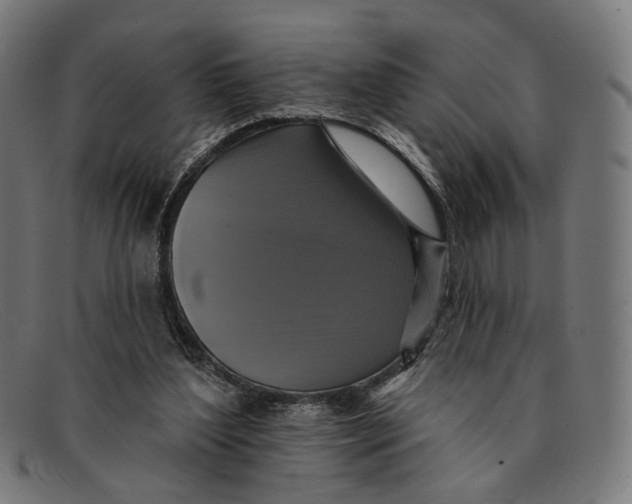 X0000091460204200709131740