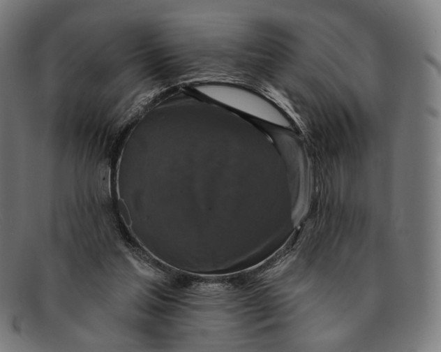 X0000091460205200709131740