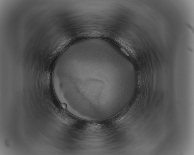 X0000091460206200709131740