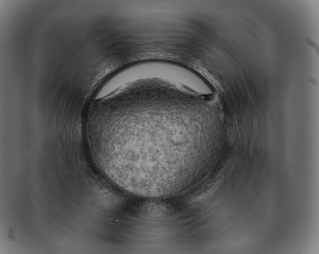 X0000091460207200709131740