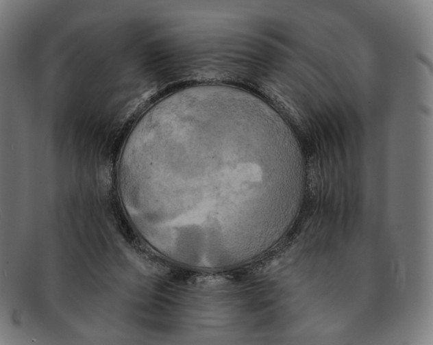 X0000091460208200709131740