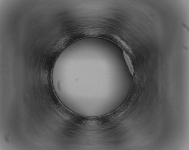 X0000091460209200709131740