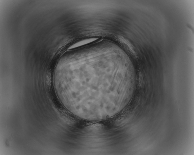 X0000091460210200709131740