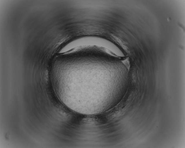 X0000091460211200709131740