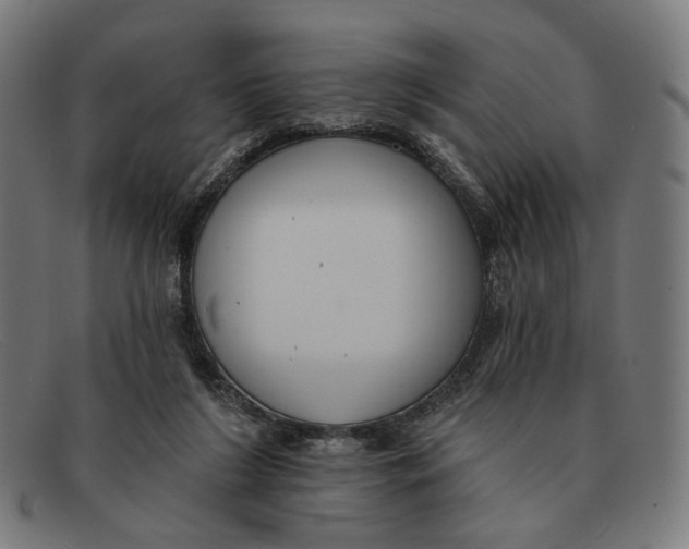X0000091460212200709131740