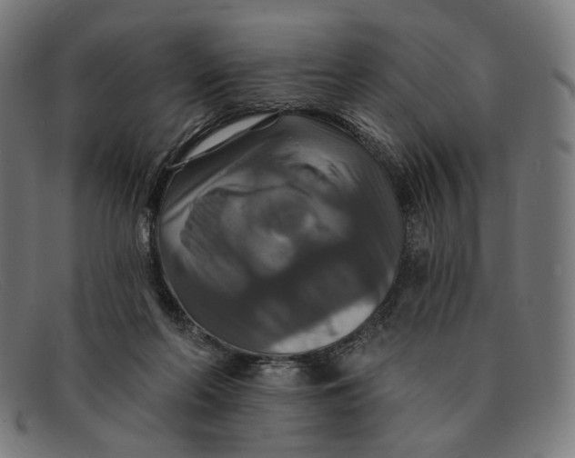 X0000091460214200709131740