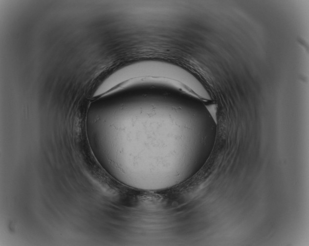 X0000091460215200709131740