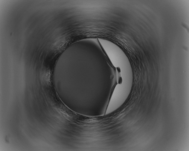 X0000091460219200709131740