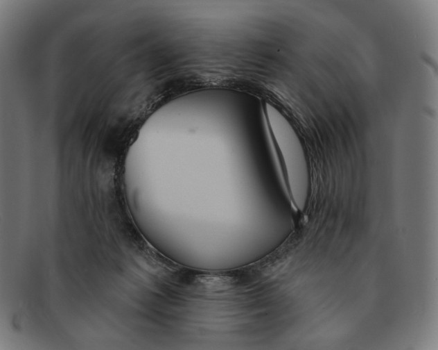 X0000091460221200709131740