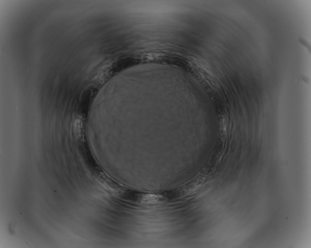X0000091460222200709131740