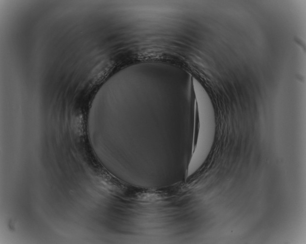 X0000091460224200709131740