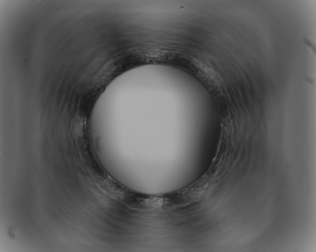 X0000091460225200709131740