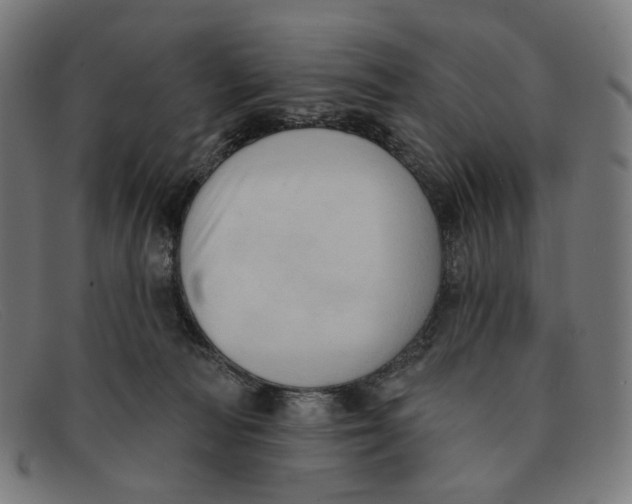 X0000091460226200709131740