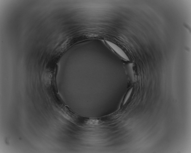 X0000091460227200709131740