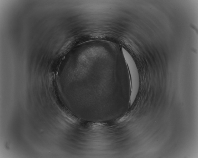 X0000091460229200709131740