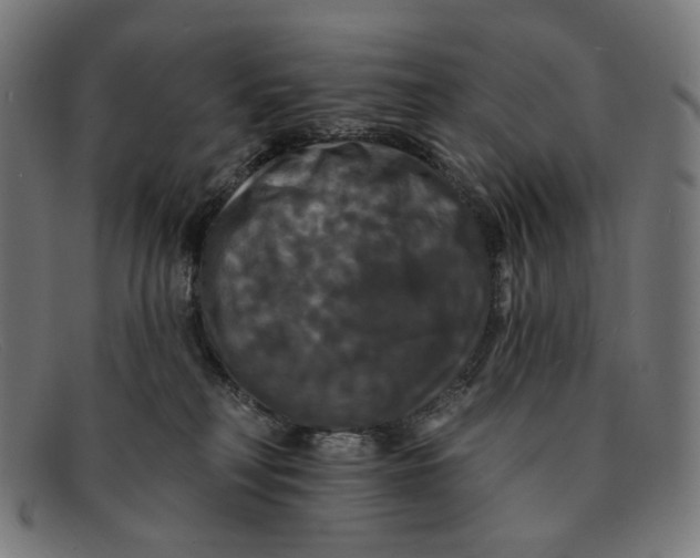 X0000091460230200709131740