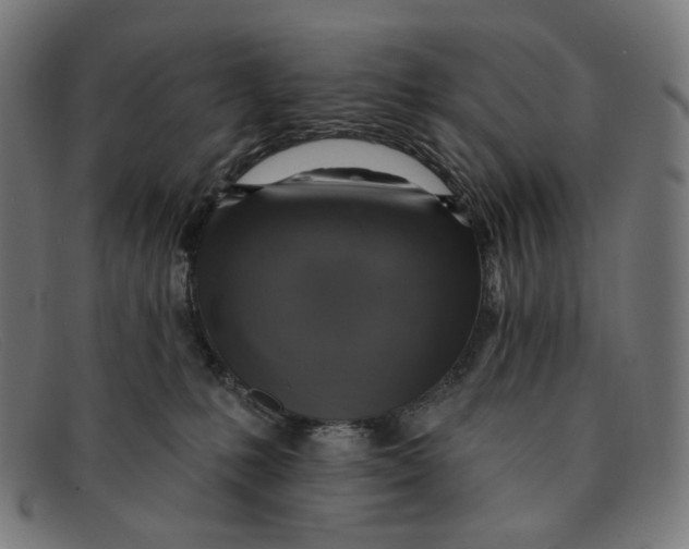 X0000091460231200709131740
