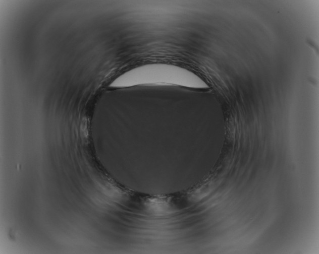 X0000091460232200709131740