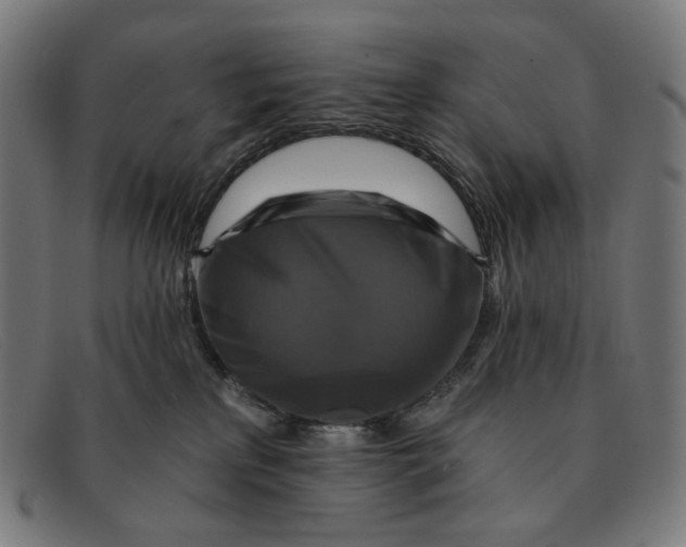 X0000091460233200709131739