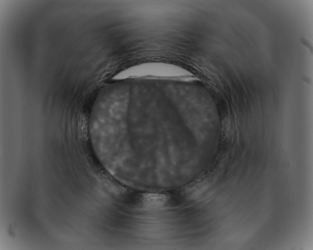 X0000091460234200709131739