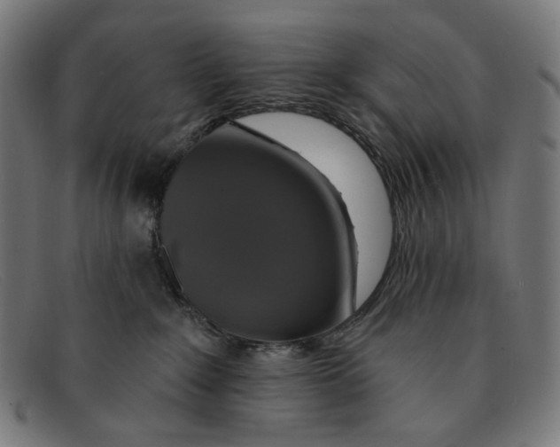 X0000091460235200709131739