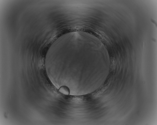 X0000091460236200709131739