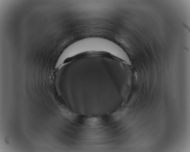 X0000091460237200709131739