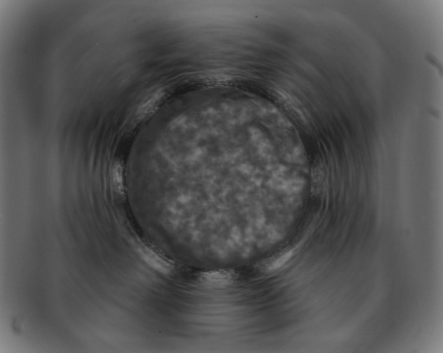 X0000091460238200709131739
