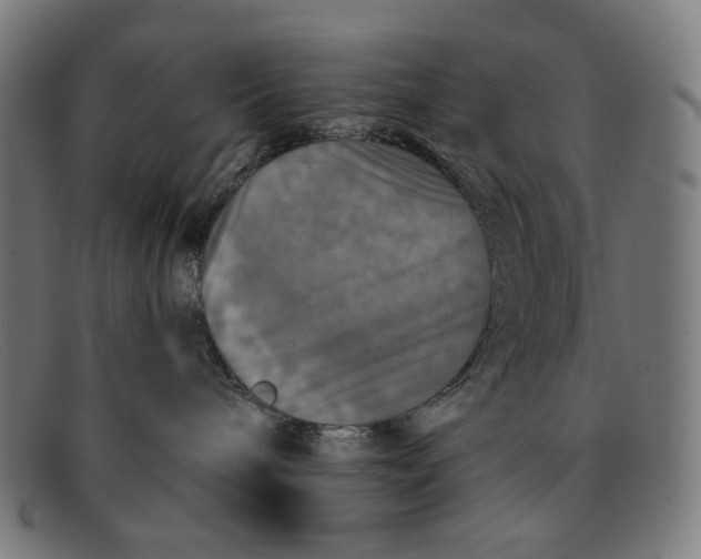 X0000091460240200709131739