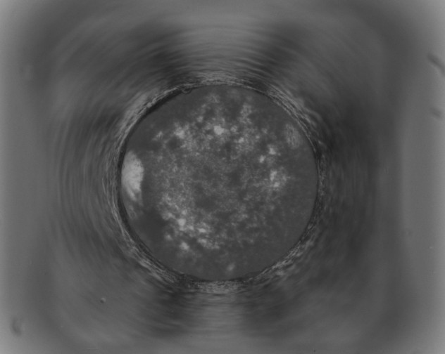 X0000091460241200709131739