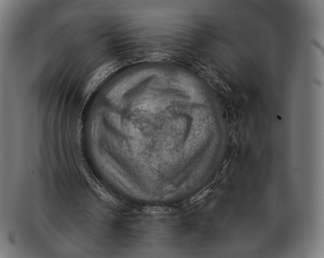 X0000091460242200709131739