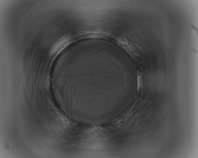 X0000091460243200709131739