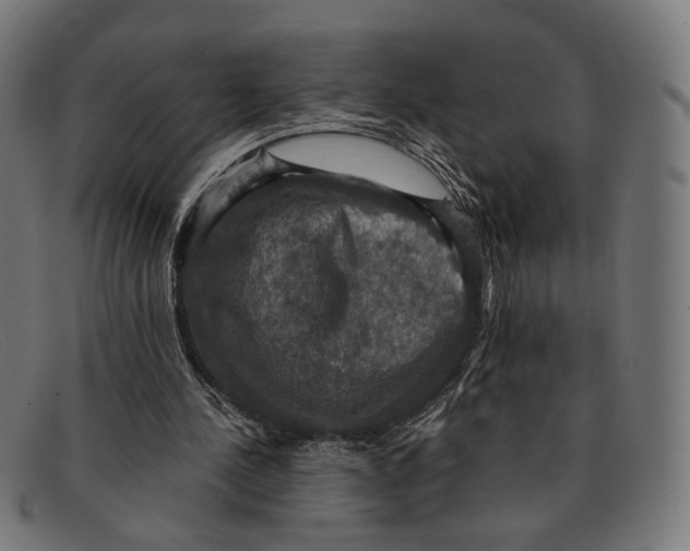 X0000091460244200709131739
