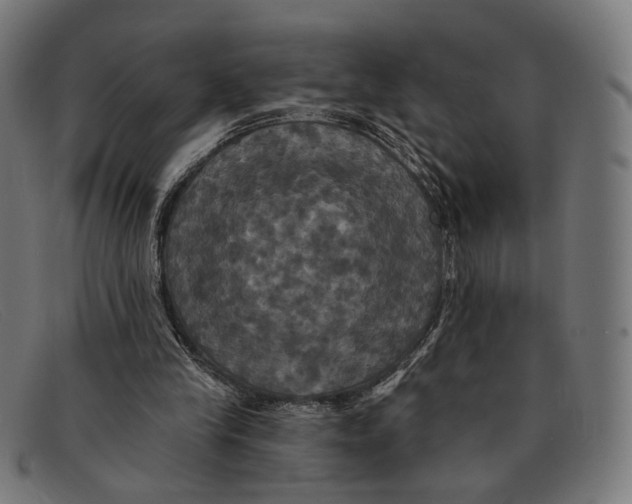 X0000091460245200709131739